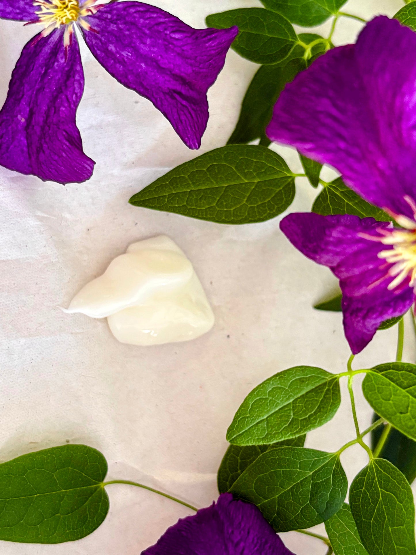 Worldly Essence: Madagascar Vanilla Body Lotion